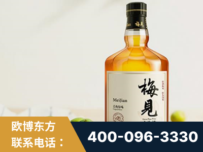 淮北-梅见青梅酒